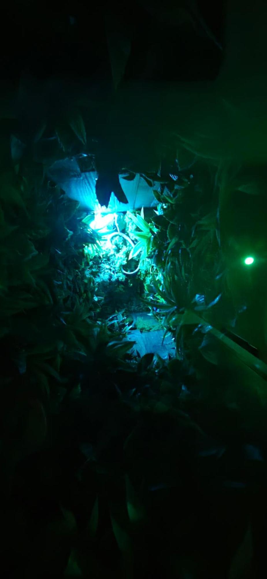 La Jungle Room Rognac Esterno foto